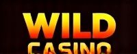 wild casino online gambling